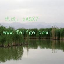 Բ